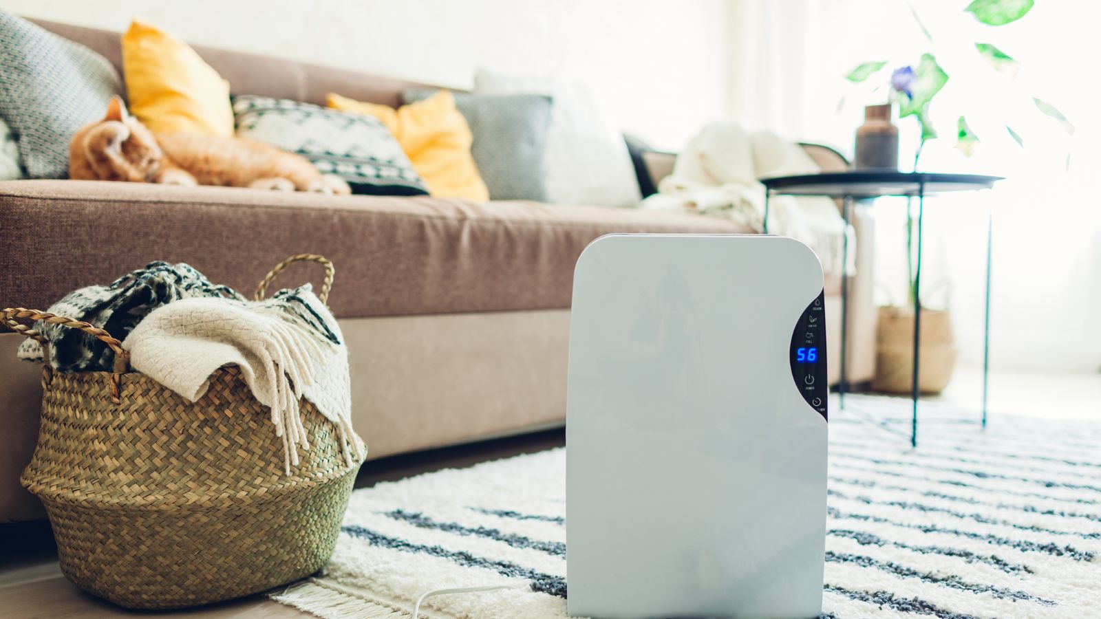 Νερό αφυγραντήρα: Γιατί δεν πρέπει να το πετάμε; 